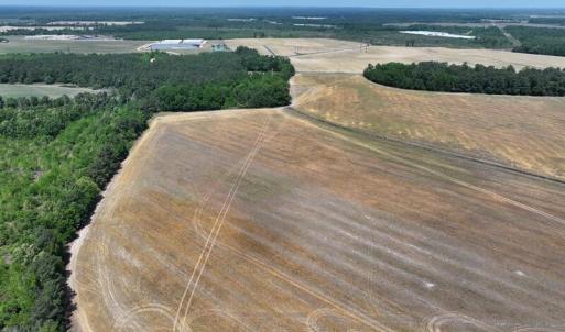 Photo #5 of Tbd Duffie North, Red Springs, NC 34.0 acres