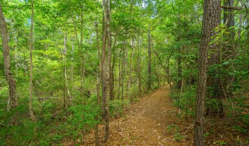 Photo #27 of 311 Antebellum, Havelock, NC 0.7 acres