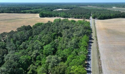 Photo #3 of Tbd Duffie, Red Springs, NC 41.0 acres