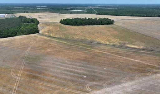 Photo #16 of Tbd Duffie, Red Springs, NC 41.0 acres