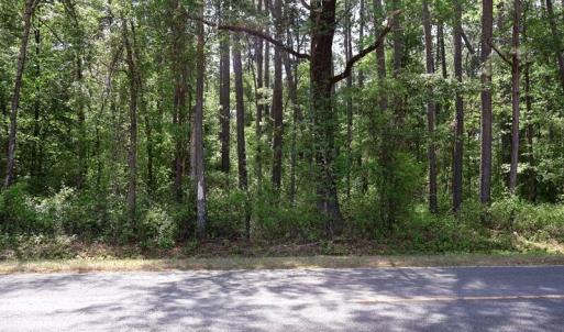 Photo #8 of Tbd Duffie, Red Springs, NC 41.0 acres
