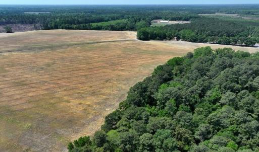 Photo #9 of Tbd Duffie, Red Springs, NC 41.0 acres