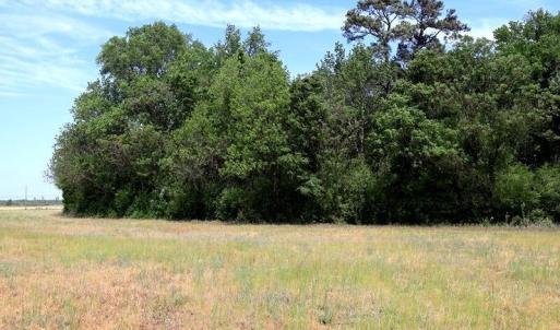 Photo #13 of Tbd Duffie, Red Springs, NC 41.0 acres