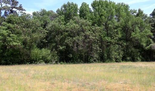 Photo #15 of Tbd Duffie, Red Springs, NC 41.0 acres