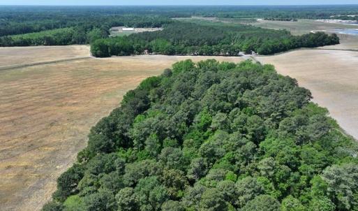 Photo #6 of Tbd Duffie, Red Springs, NC 41.0 acres