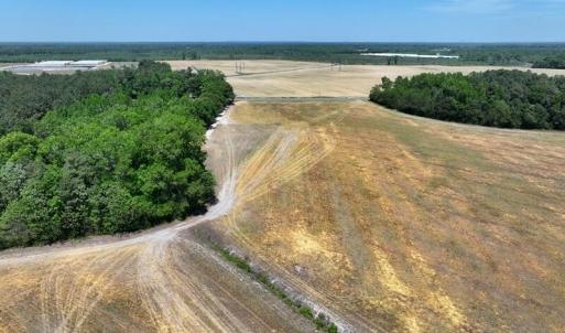 Photo #18 of Tbd Duffie, Red Springs, NC 41.0 acres