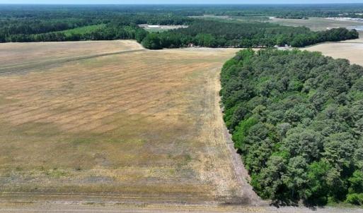 Photo #11 of Tbd Duffie, Red Springs, NC 41.0 acres
