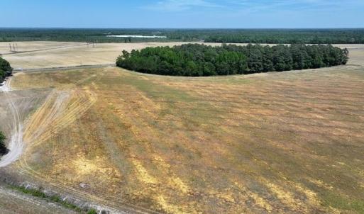 Photo #7 of Tbd Duffie, Red Springs, NC 41.0 acres