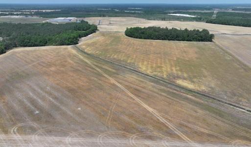 Photo #14 of Tbd Duffie, Red Springs, NC 41.0 acres