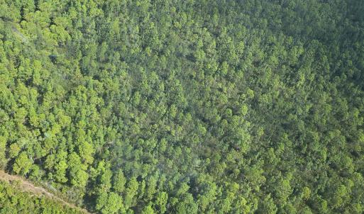 Photo #18 of 483.10 Whiteville, Shallotte, NC 483.1 acres