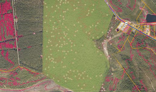 Photo #6 of 483.10 Whiteville, Shallotte, NC 483.1 acres