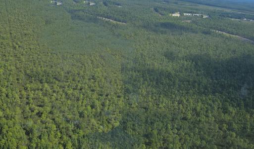 Photo #19 of 483.10 Whiteville, Shallotte, NC 483.1 acres