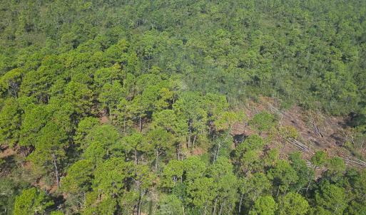 Photo #16 of 483.10 Whiteville, Shallotte, NC 483.1 acres