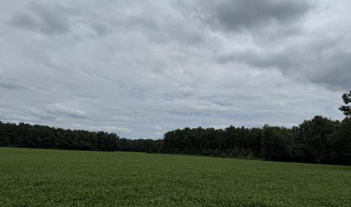 Photo #6 of Marys Chapel Church, Aurora, NC 56.0 acres
