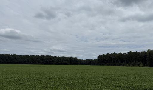 Photo #7 of Marys Chapel Church, Aurora, NC 56.0 acres