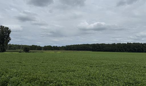 Photo #3 of Marys Chapel Church, Aurora, NC 56.0 acres