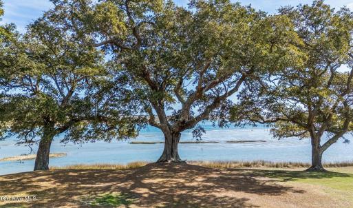 Photo #24 of 1.75ac Flamingo, Sneads Ferry, NC 1.8 acres