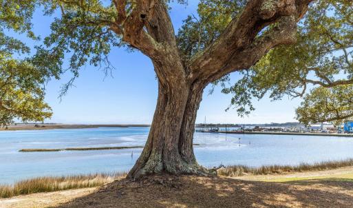 Photo #27 of 1.75ac Flamingo, Sneads Ferry, NC 1.8 acres
