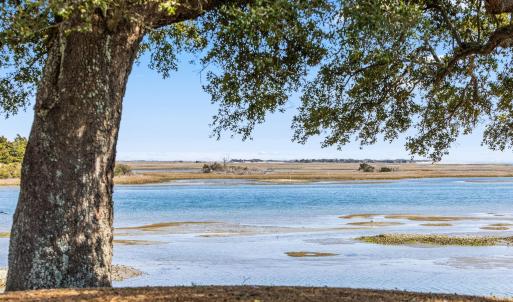 Photo #23 of 1.75ac Flamingo, Sneads Ferry, NC 1.8 acres