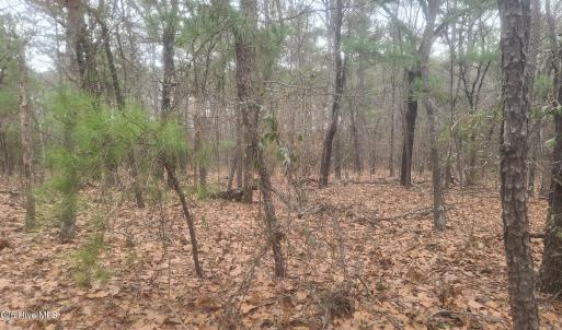 Photo #1 of Tbd Union Church, Carthage, NC 6.9 acres