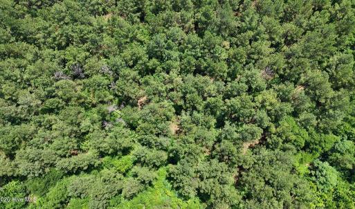 Photo #2 of 110 North Martintown Road, Edgefield, SC 29.0 acres