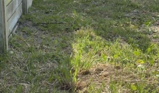 Photo #14 of 413 Spartanburg, Carolina Beach, NC 0.6 acres