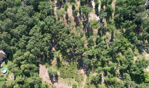 Photo #6 of Redds Branch, Aiken, SC 11.0 acres