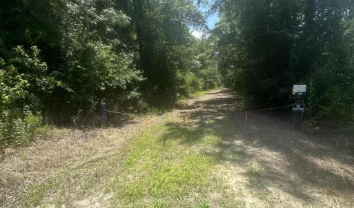 Photo #2 of Near 721 Joe Piver, Chadbourn, NC 225.7 acres