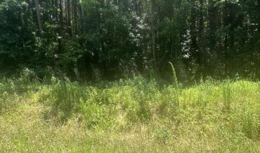 Photo #6 of Near 721 Joe Piver, Chadbourn, NC 225.7 acres