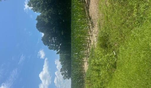 Photo #1 of Near 721 Joe Piver, Chadbourn, NC 225.7 acres