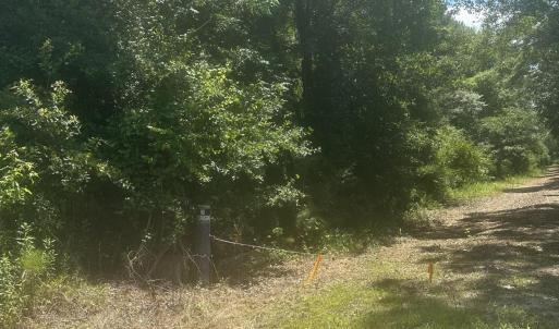 Photo #4 of Near 721 Joe Piver, Chadbourn, NC 225.7 acres