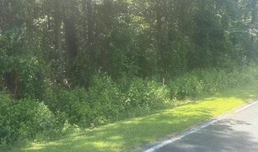 Photo #8 of Near 721 Joe Piver, Chadbourn, NC 225.7 acres