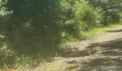 Photo #3 of Near 721 Joe Piver, Chadbourn, NC 225.7 acres