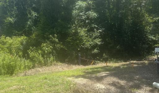 Photo #5 of Near 721 Joe Piver, Chadbourn, NC 225.7 acres