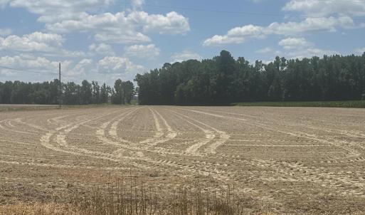 Photo #11 of Near 721 Joe Piver, Chadbourn, NC 225.7 acres