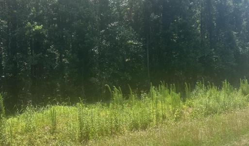Photo #7 of Near 721 Joe Piver, Chadbourn, NC 225.7 acres