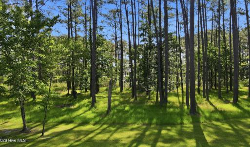 Photo #7 of 164 Broadview, Oriental, NC 1.0 acres