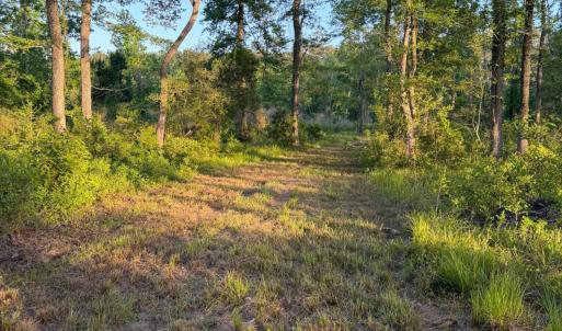 Photo #31 of 705 Russells Creek, Beaufort, NC 22.6 acres