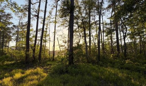 Photo #34 of 705 Russells Creek, Beaufort, NC 22.6 acres