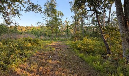Photo #35 of 705 Russells Creek, Beaufort, NC 22.6 acres