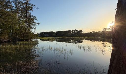 Photo #16 of 705 Russells Creek, Beaufort, NC 22.6 acres