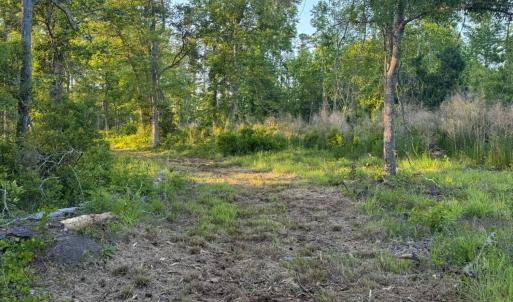 Photo #28 of 705 Russells Creek, Beaufort, NC 22.6 acres