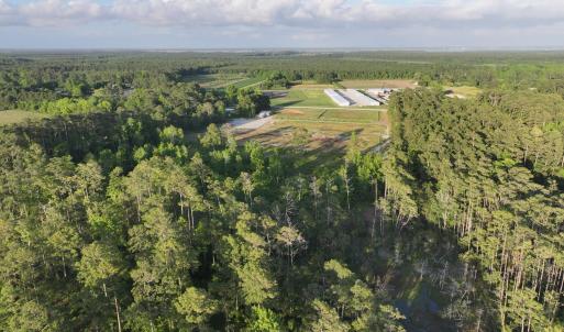 Photo #8 of 705 Russells Creek, Beaufort, NC 22.6 acres