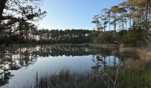 Photo #14 of 705 Russells Creek, Beaufort, NC 22.6 acres