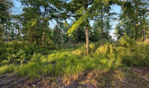 Photo #32 of 705 Russells Creek, Beaufort, NC 22.6 acres