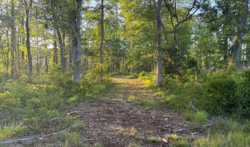 Photo #29 of 705 Russells Creek, Beaufort, NC 22.6 acres