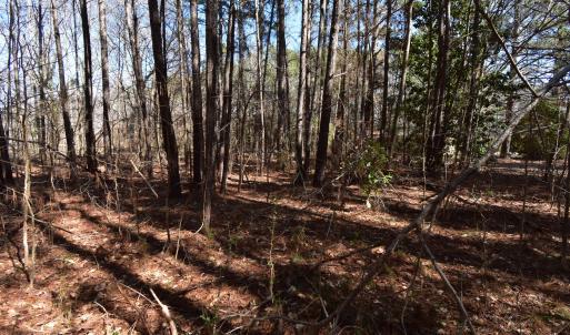Photo #8 of 4 Dobbs, Halifax, NC 3.7 acres
