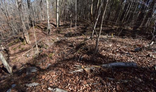 Photo #6 of 4 Dobbs, Halifax, NC 3.7 acres