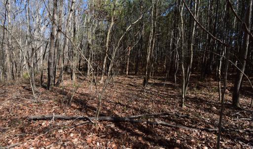 Photo #7 of 4 Dobbs, Halifax, NC 3.7 acres