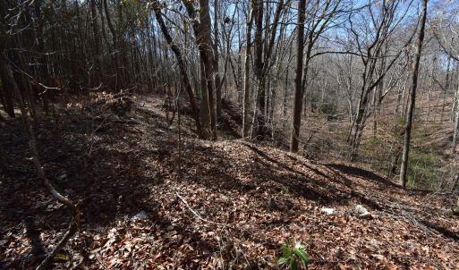 Photo #5 of 4 Dobbs, Halifax, NC 3.7 acres